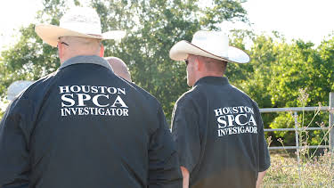 02:15: Animal Cops Houston (S9 E6) (S9) | Animal Planet | 3/28 2026