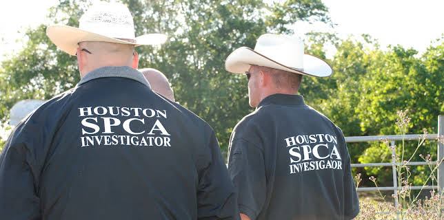 10:20: Animal Cops Houston (S9 E6) (S9) | Animal Planet | 2/3 2026