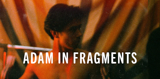 Adam in Fragments