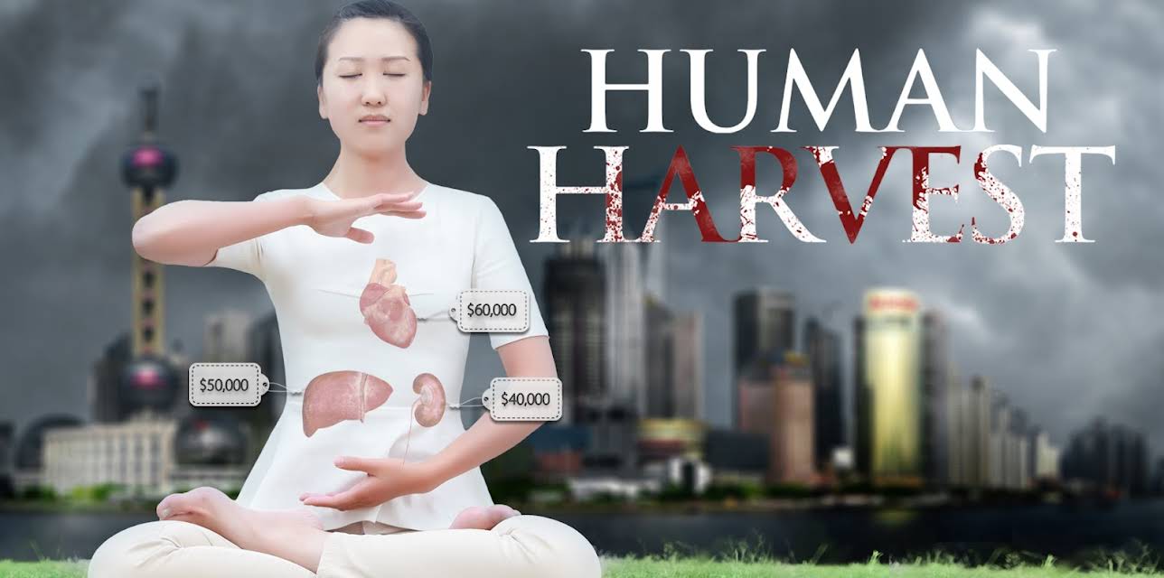 Human Harvest (2016)