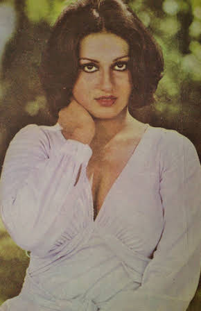 Reena Roy as 