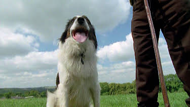 19:00: Dyrenes utrolige evner (S1 E11) (S1) | Animal Planet | 5/2 2026