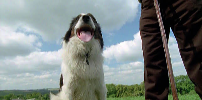 19:00: How Do Animals Do That? (S1 E11) (S1) | Animal Planet | 2/28 2026