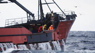 1:00 AM: Deadliest Catch (S20) | Discovery Channel | 10/13 2026