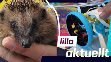 14:20: Lilla Aktuellt skola | Barnkanalen | 8/21 2026
