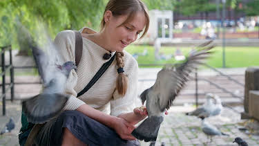 11:05: Villdyrhjerte: Hjerte for duer | NRK 2 | 4/25 2026