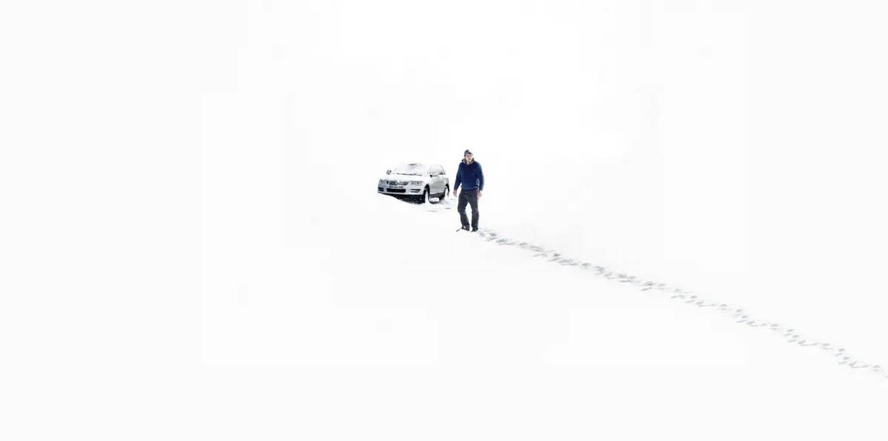 Only the Animals (2021)