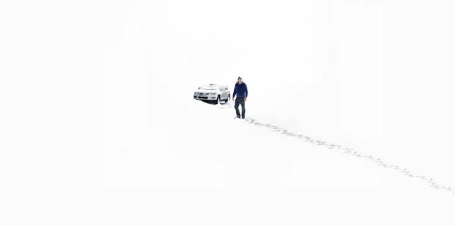 Only the Animals (2021)