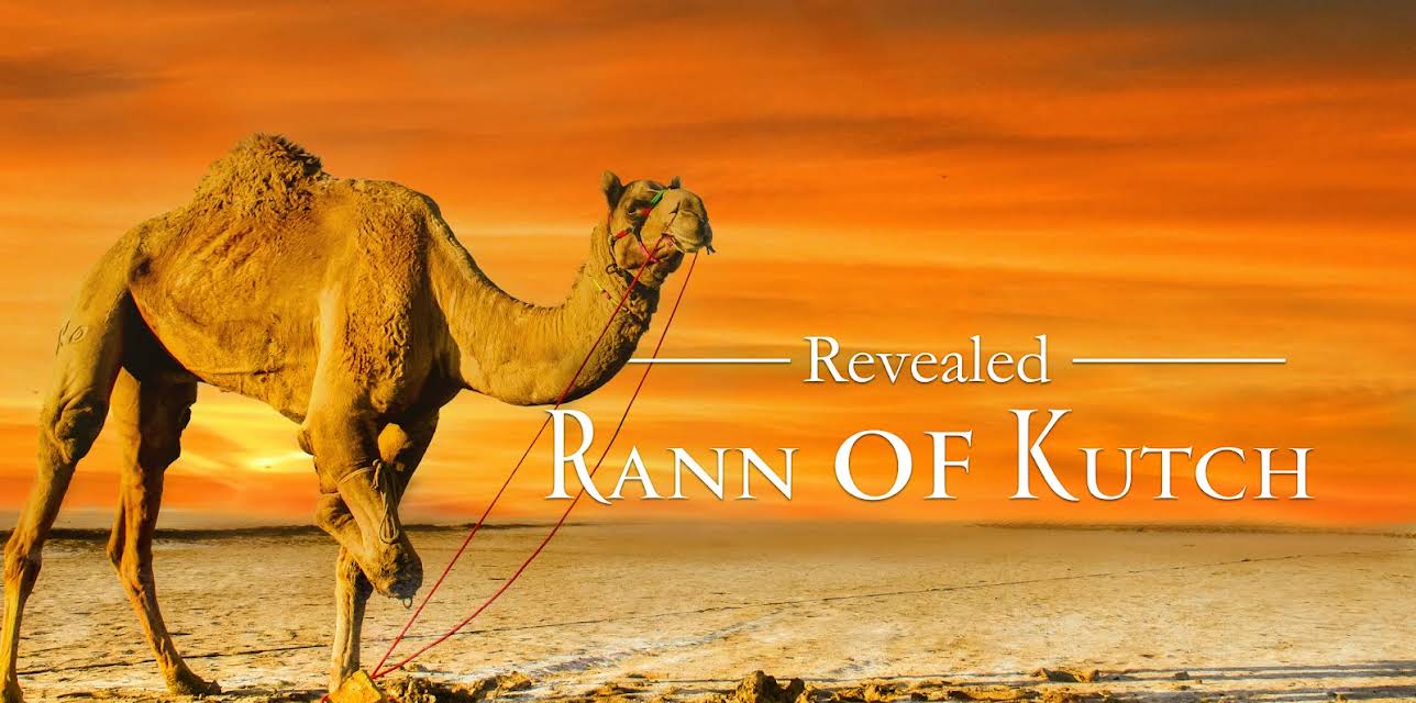 Revealed: Rann of Kutch