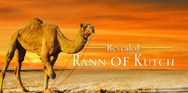Revealed: Rann of Kutch