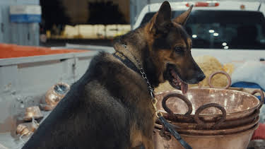 9:00 AM: Border Force America's Gatekeepers (S6 E8) (S6) | Dave | 1/20 2026