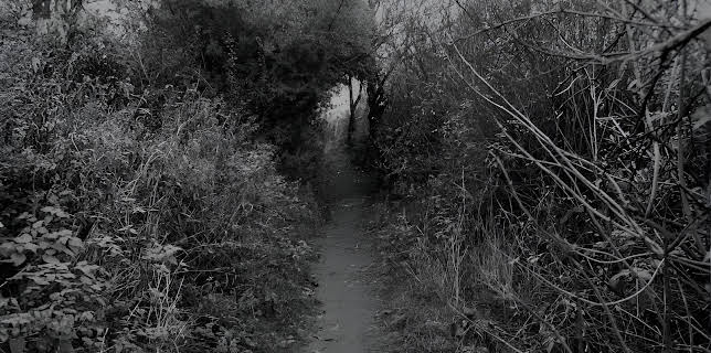 13:30: Ermittler! | ZDFinfo | 11/19 2025