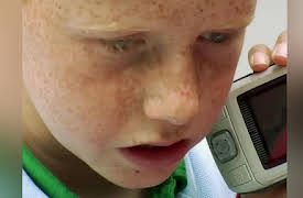 FETCH! With Ruff Ruffman: To Bee or Not to Bee