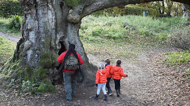 12:20 PM: Let's Go for a Walk (S2) | Cbeebies | 6/21 2026