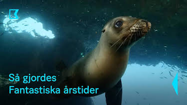 20:00: Så gjordes fantastiska årstider | Kunskapskanalen | 5/17 2026