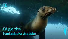 Så gjordes fantastiska årstider