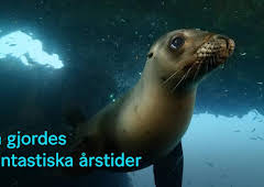 Så gjordes fantastiska årstider