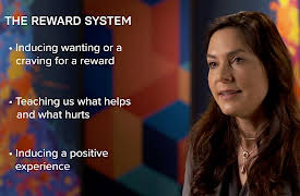 Creativity and Your Brain: Finding Your Motivation for Creative Work