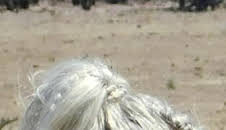 Aventura en pelotas XL: El valle de los desaparecidos