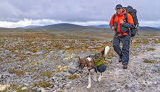 Monsen og nasjonalparkene: Dovrefjell-Sunndalsfjella - Manndomsprøven