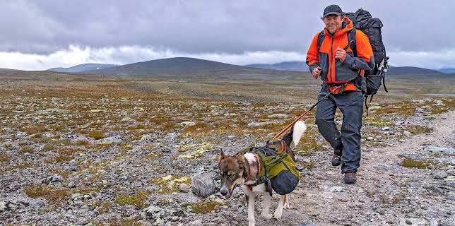 15:30: Monsen og nasjonalparkene: Dovrefjell-Sunndalsfjella - Manndomsprøven | NRK 1 | 11/16 2025
