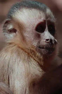 16:35: América salvaje: La reina del norte | La Otra | 3/28 2026