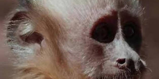 16:35: América salvaje: La reina del norte | La Otra | 12/12 2025