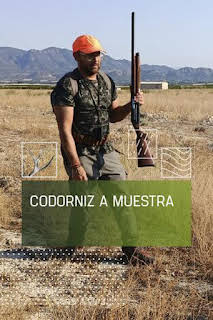16:40: Codorniz a muestra | Caza y Pesca | 7/13 2026