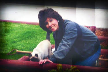 01:15: Medical Detectives - Geheimnisse der Gerichtsmedizin | VOX | 4/3 2026