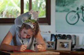 Izzys koalavärld: Lilla Chompy