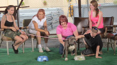 06:50: Pit Bulls & Parolees (S4 E11) (S4) | Animal Planet | 5/23 2026