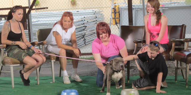 06:50: Pit Bulls & Parolees (S4 E11) (S4) | Animal Planet | 1/17 2026