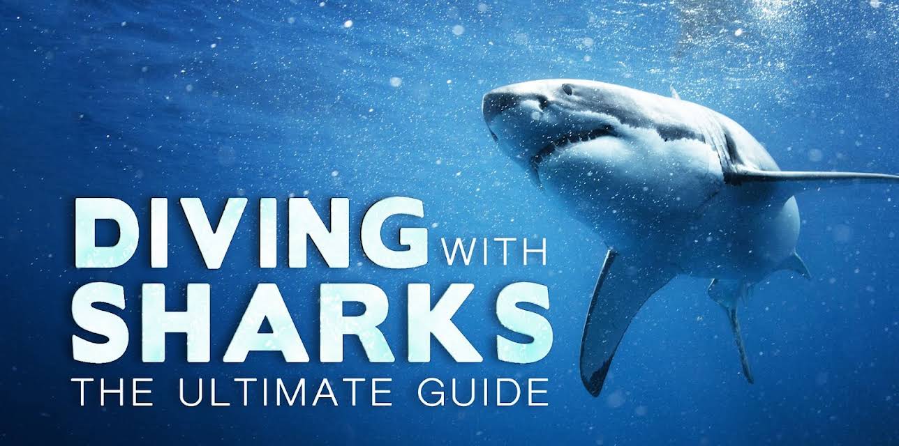 Diving with Sharks: the Ultimate Guide (2018)