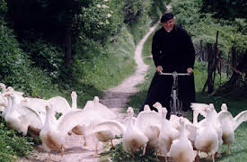 Don Matteo: The Scorpion's Strategy