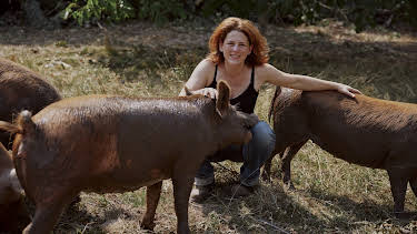 20:15: Lecker aufs Land | SWR Fernsehen BW | 9/28 2026