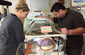 Baby Changes Everything: Episode 2