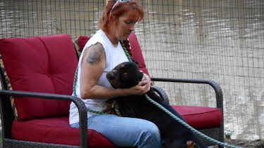 07:40: Pit Bulls & Parolees (S7 E3) (S7) | Animal Planet | 4/4 2026