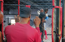 Discovering West Africa: Ghana, Senegal, Cameroon: Ghana’s Sports, TV, and Philanthropy Champions