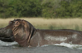 Rivers of Life: Season 1: The Nile