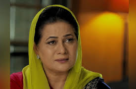 Ramz-e-Ishq: Episode 25