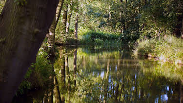 05:55: 360° Geo Reportage | Arte | 4/30 2026