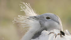 Abenteuer Wildnis
