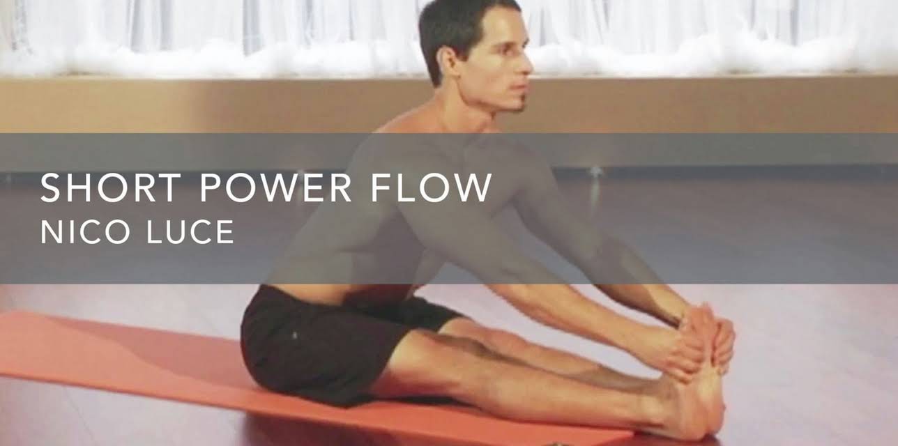 Short Power Flow (2010)