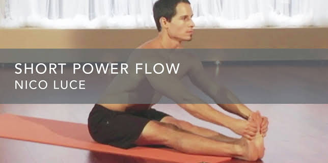Short Power Flow (2010)