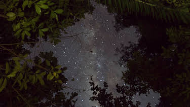 9:00 PM: Extinct Or Alive (S2 E8) (S2) | Animal Planet | 12/20 2025