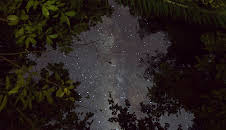 Extinct Or Alive (S2 E1)