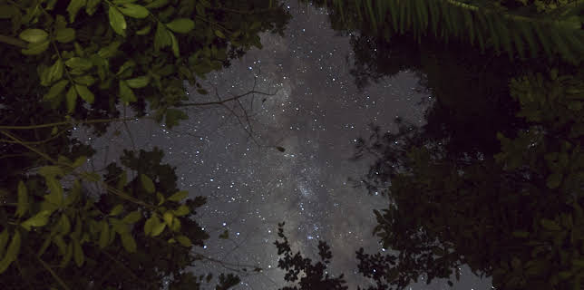 8:00 PM: Extinct Or Alive (S2 E1) (S2) | Animal Planet | 11/8 2025