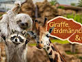 Giraffe, Erdmännchen & Co