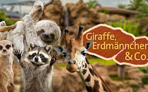 Giraffe, Erdmännchen & Co.