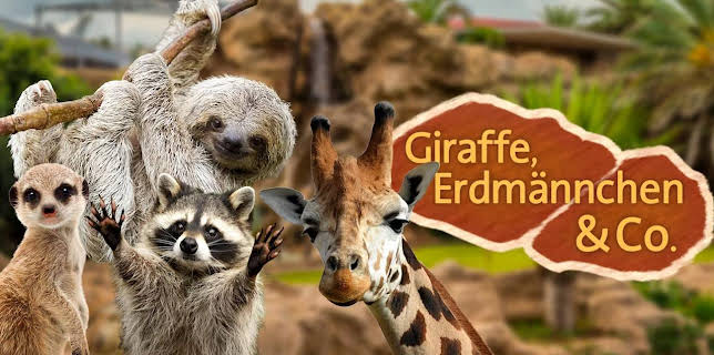 06:30: Giraffe, Erdmännchen & Co | BR Fernsehen | 10/28 2025